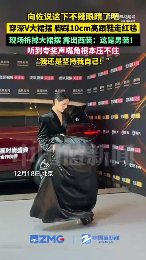 向佐我还是坚持我自己