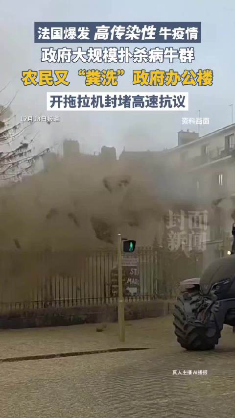 法国农民粪洗政府办公楼