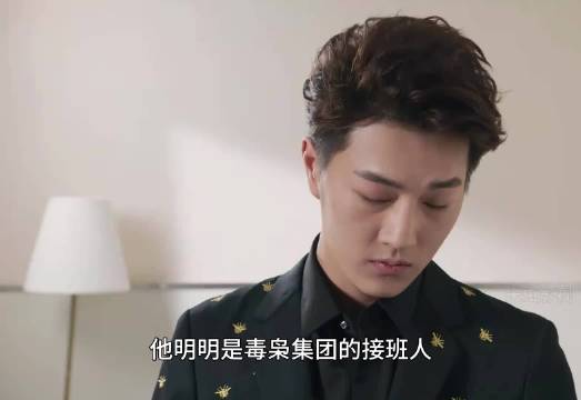 明明是毒枭集团的接班人，却偏偏要去仇人手底下当小弟 ！