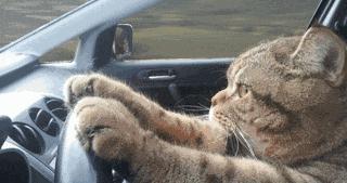 请教各位车友：越“硬”就越安全吗？