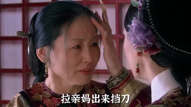 原著里甄嬛的算计究竟有多狠？亲妈挡刀 孙俪
