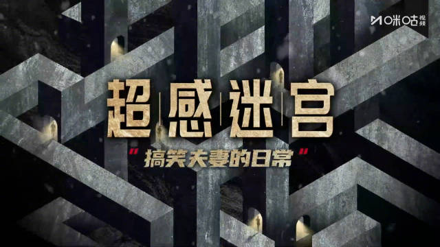 段奕宏王佳佳劫后余生反差互动，何雅关心发型引笑