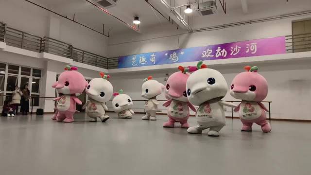 大湾鸡跳十五届全运会的主题曲 气势如虹 可爱的不要不要的