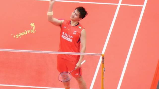 人 你为什么不让小狗换球