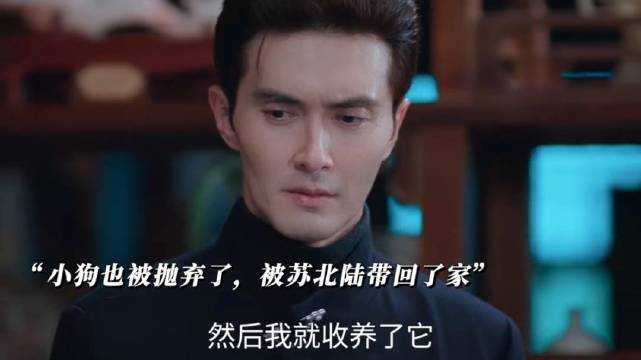 倒霉小狗苏北陆遇到心软的神，毕之对朋友真的很好～高伟光 梁靖康