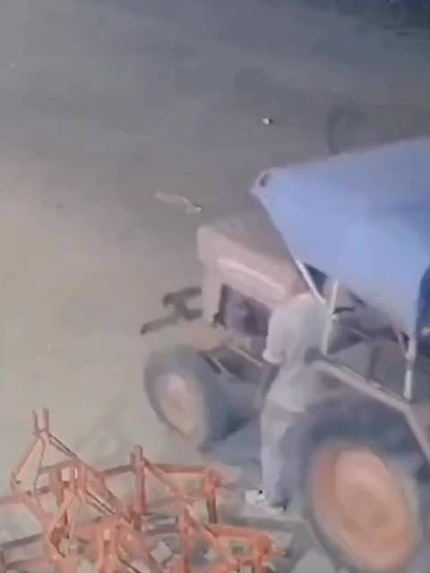 压在身上的除了压力，责任，还有糊口的拖拉机