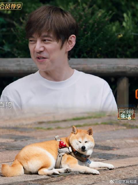 《向往的生活》 小O被主人们集体围攻，何炅：你们是真狗