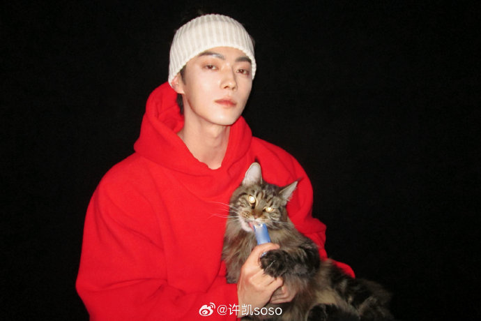 前两天才提到晒猫猫，今天就带着缅缅来了！还发了！今天可爱！