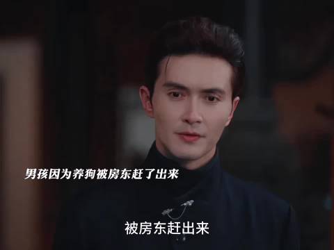 男孩因为救助小狗被老板开除，明明他做的是好事！