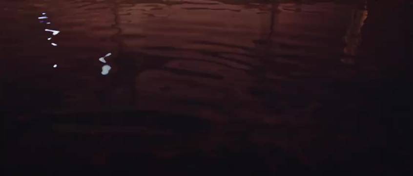 张杰歌迷挑战五三真题，经典歌曲考题引热议