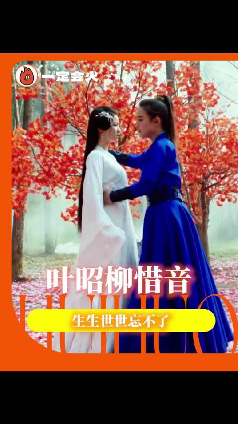 生生世世忘不了，时时刻刻记心上 叶昭柳惜音 将军在上