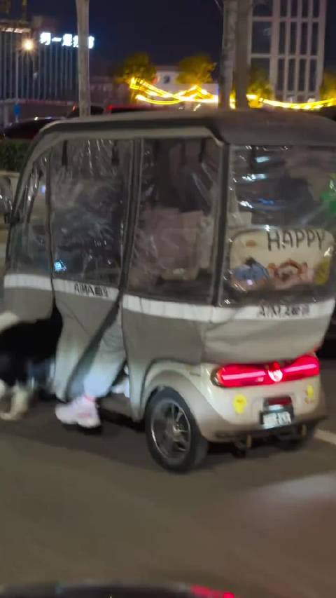 第一次见六驱人狗混动车