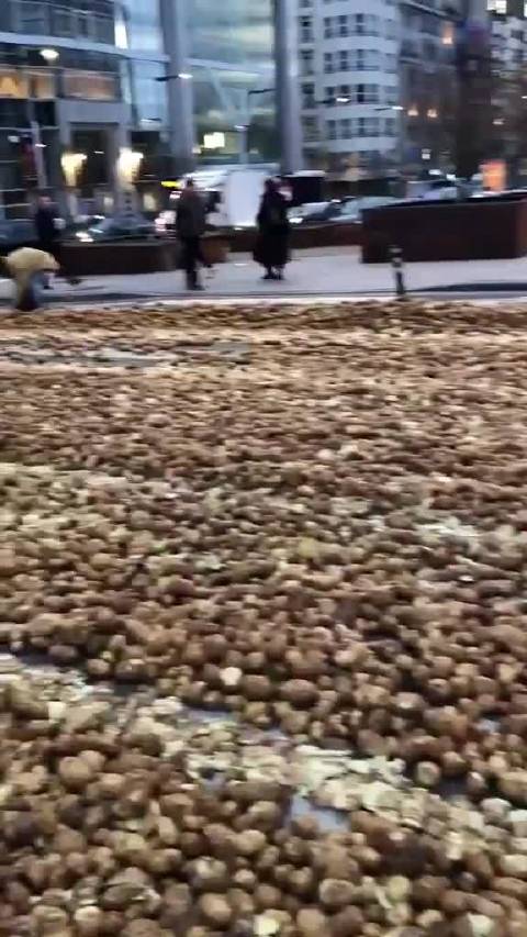 欧洲农民抗议欧盟政策，布鲁塞尔街头爆发冲突