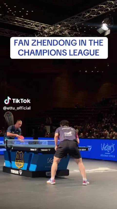 樊振东发球被打断后示意无碍