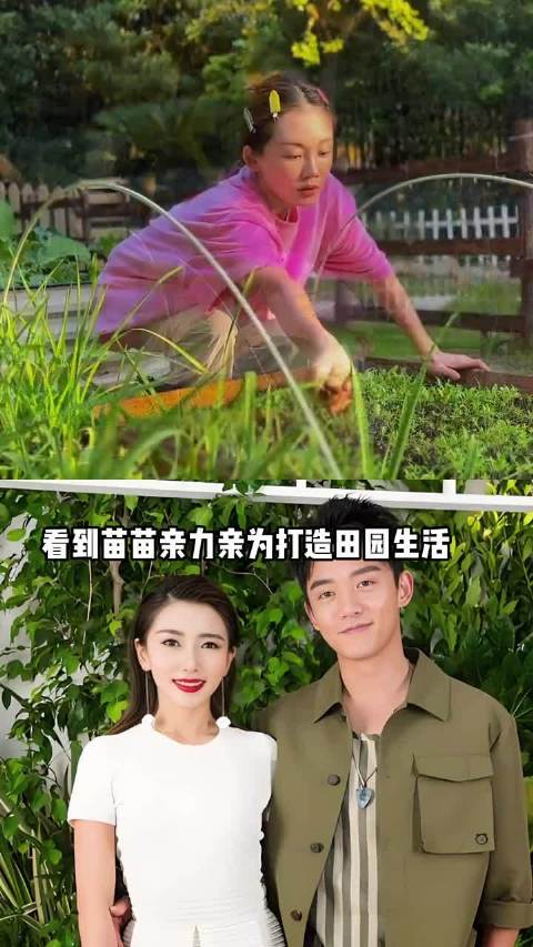 同是郑恺今生最爱，看到苗苗打造的田园，才知他为何放弃白富美 ，程晓玥