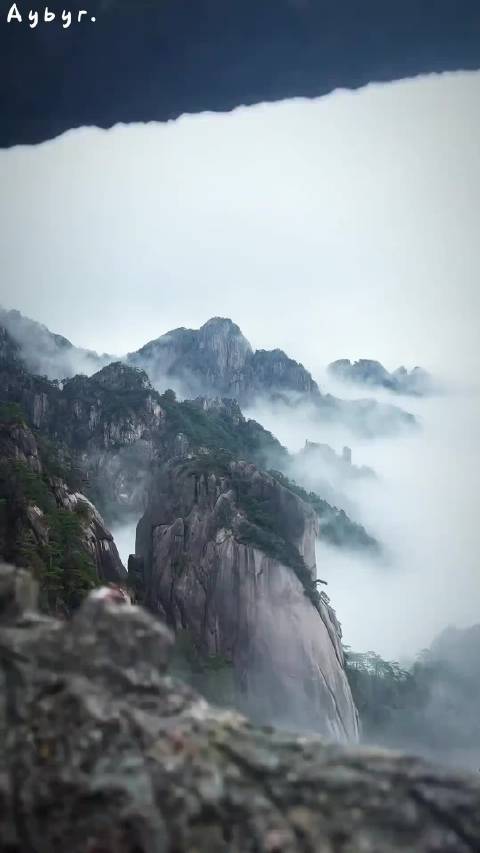 张凯毅掉粉超46万，清心自在胜于计较