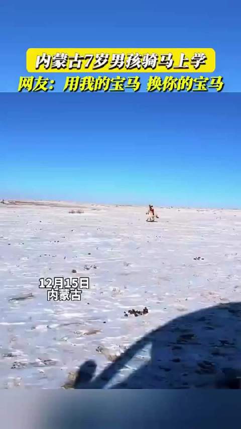 7岁男孩骑马上学，网友：用我的宝马 换你的宝马