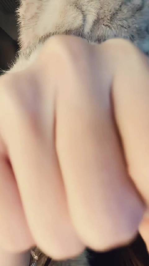 Angelababy新剧相思令上线，演绎温柔角色