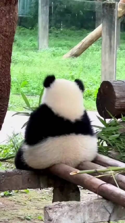 每日一善倡导善念善行，心存善念必得善果