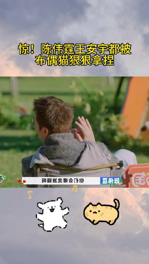 王安宇陈伟霆都喜欢布偶猫？明星都狠狠上头的小布偶，到底有何魅力？