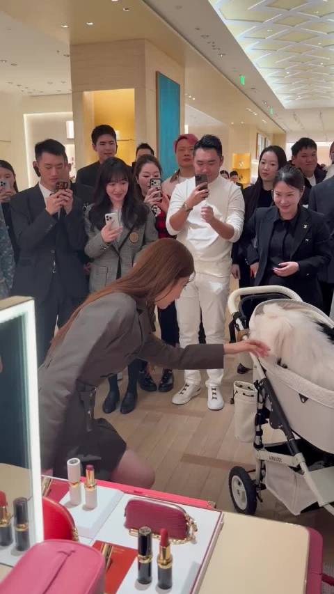 251217 金晨 与棉花面纱犬互动（另一视角） cr.MiLemon_Kennel