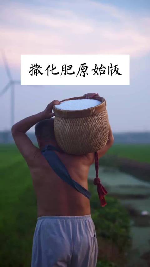 73岁种地专家自述12岁使牛耕地经历