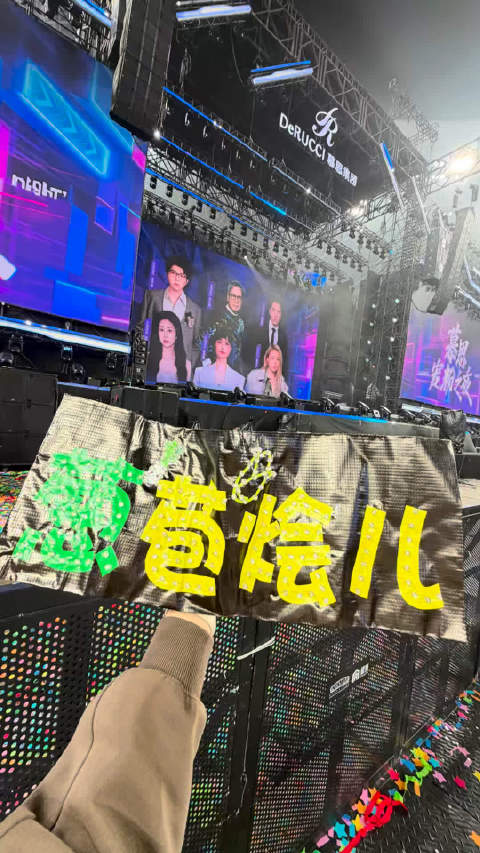 李宇春演唱会粉丝举牌引路人借拍