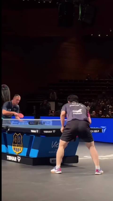 很认真 很可爱 | 坐等张本智和模仿