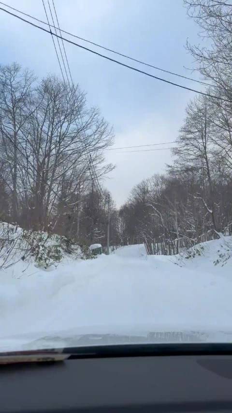 分享与梁朝伟等一行人日本滑雪度假视频，嘉玲姐玩的好开心