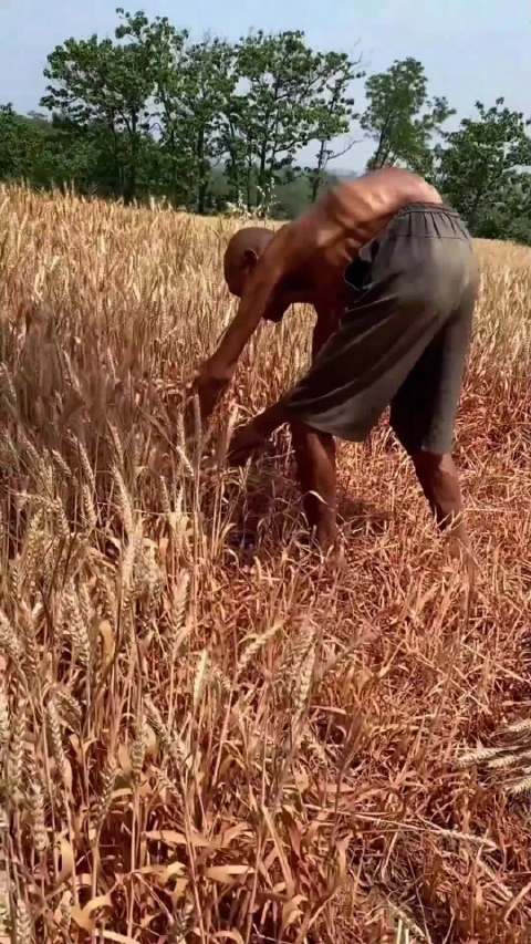 大幅提高农民的养老金，你们支持这个网友的观点吗？