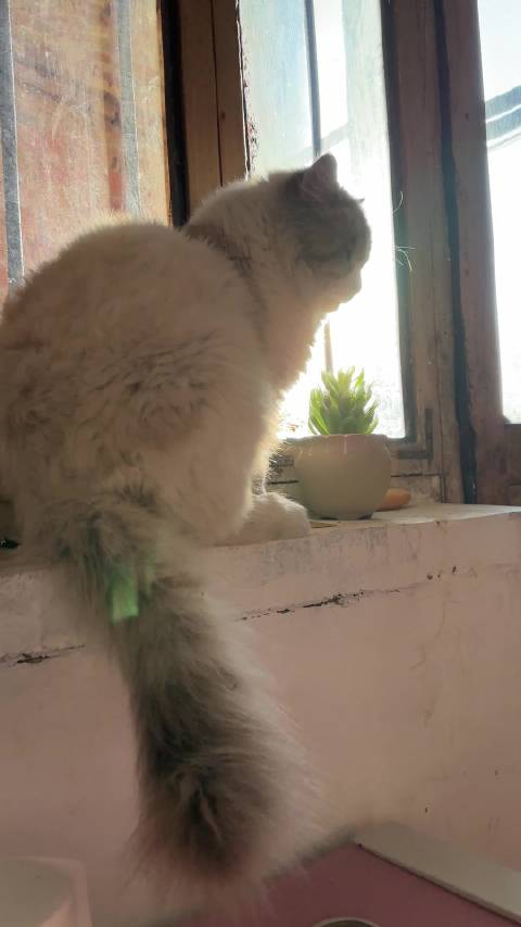 谁也不想再失去了