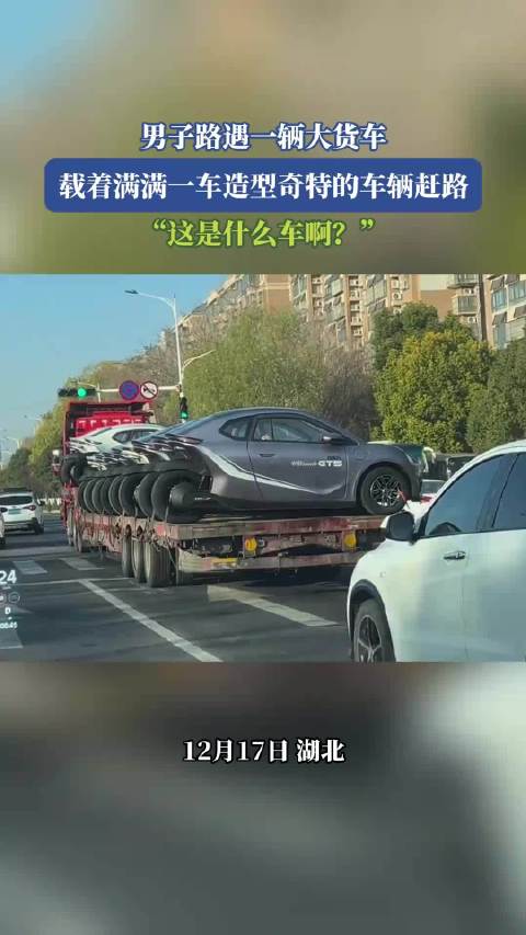 男子路遇大货车载着满满一车造型奇特的车辆赶路：这是什么车啊？