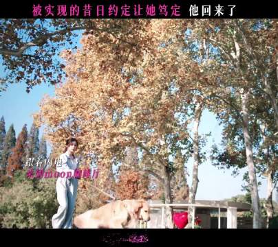 虞书欣《双轨》演绎重逢惊喜，靳朝回归姜暮落泪