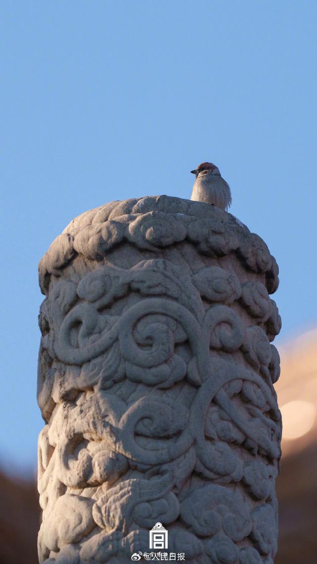 来源：@故宫博物院