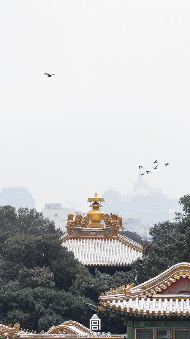 来源：@故宫博物院