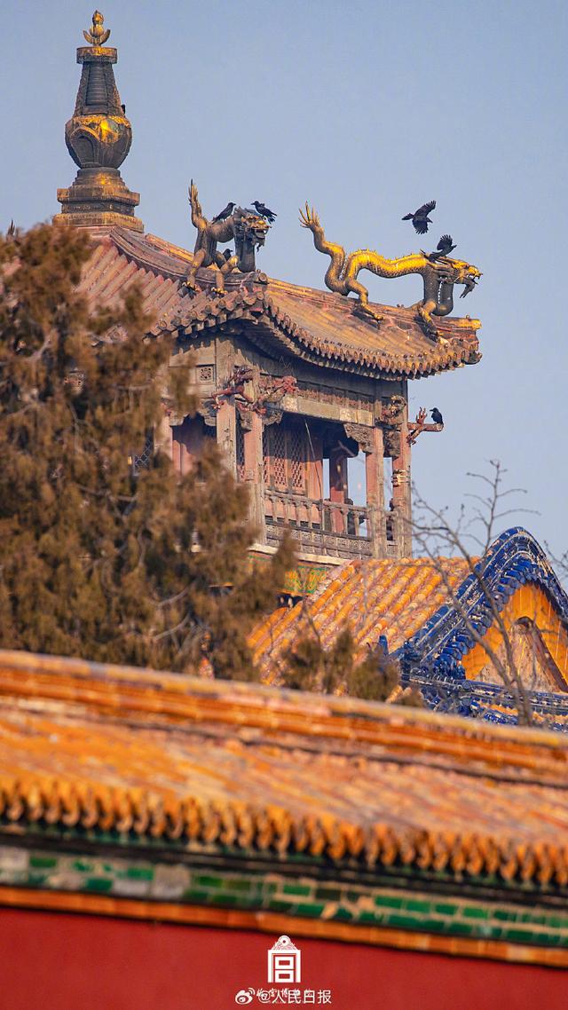 来源：@故宫博物院