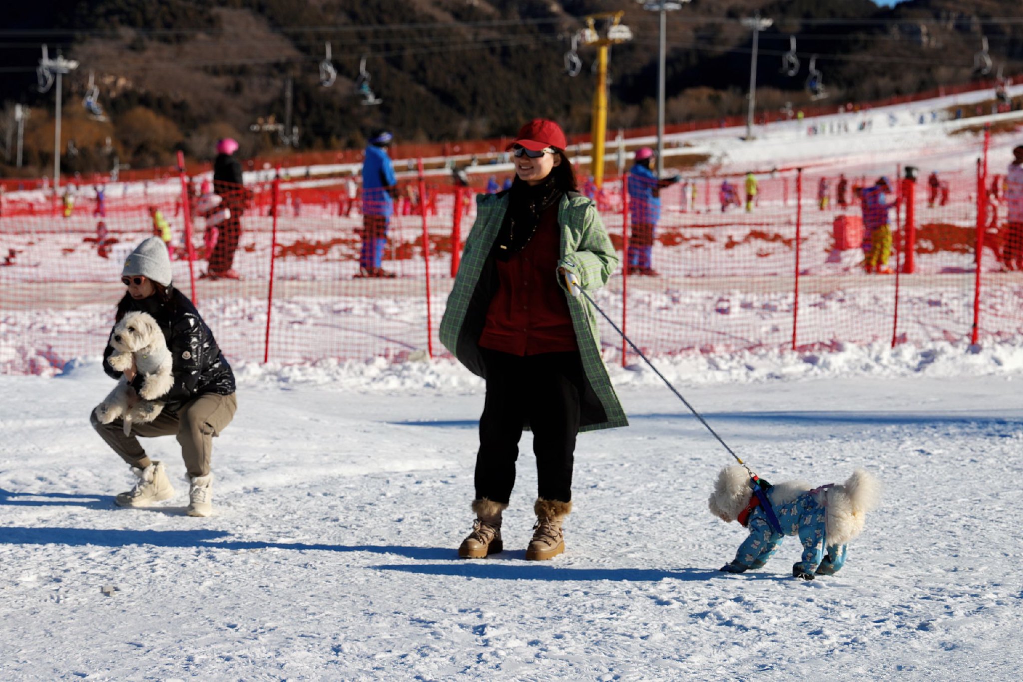萌宠也滑雪！冰雪经济添活力