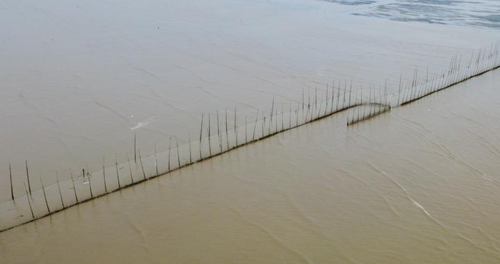 北海网红赶海打卡地被下禁令，禁止游客“扫荡式”赶海