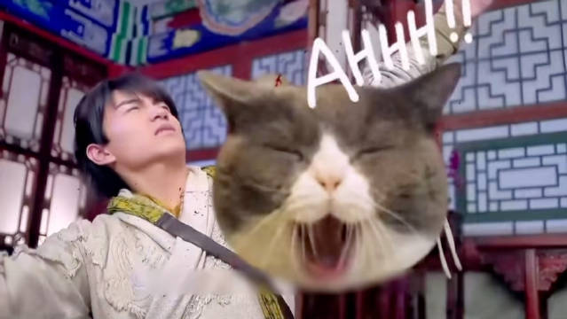 《神雕侠侣》第39集：小龙女知道那一夜真相，杨过被郭芙断去一臂