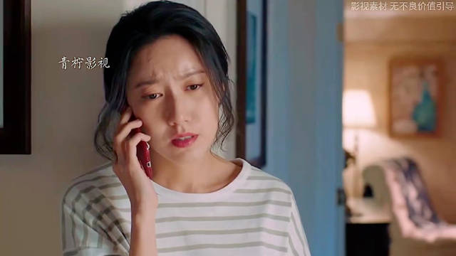 苏大强耍赖不让明哲回美国，明成明玉指责苏大强！