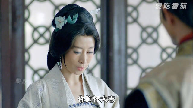 静妃从翔地记中两个小字，猜到梅长苏就是林殊，靖王却看不出！