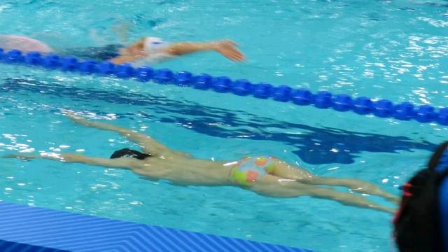 那天，我看到水中美丽的花蝴蝶 251115热身