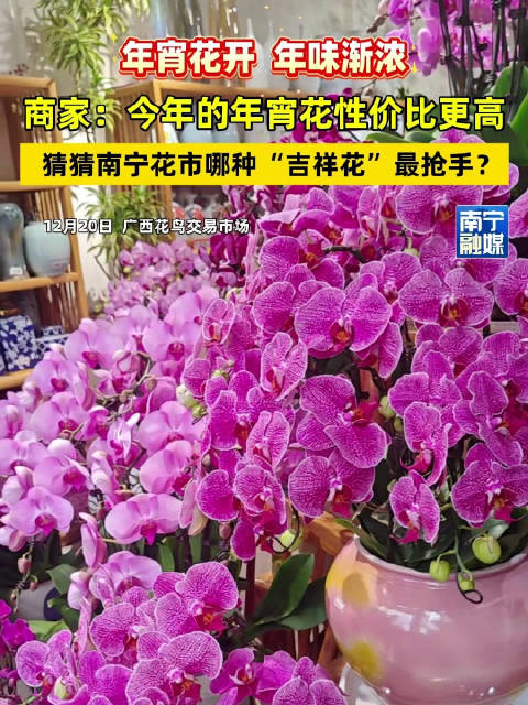 到南宁花市提前感受年味