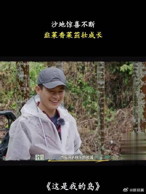 沙地惊喜不断，韭菜香菜茁壮成长