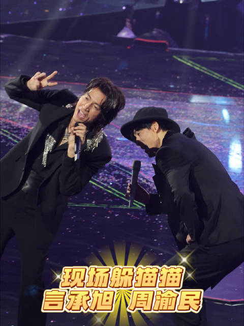 仔仔和暴龙在演唱会现场躲猫猫，瞬间又回到了流星花园那个青春的时代