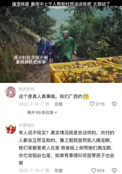暴雨中千人助村民运枇杷