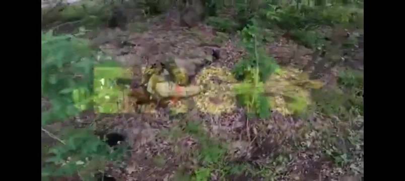 乌特种部队在巴克穆特俘获两名俄士兵并展示多种武器