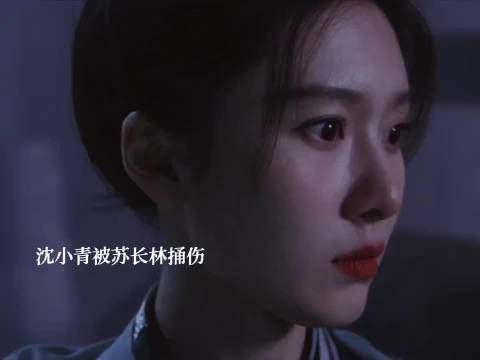 叶峥揭苏长林阴谋沈小青受伤，苏长林欲借其对付谢淮安