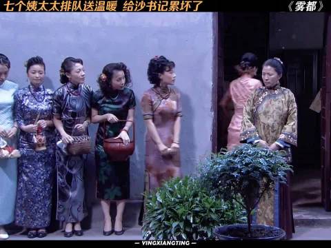 七个姨太太排队送温暖引热议