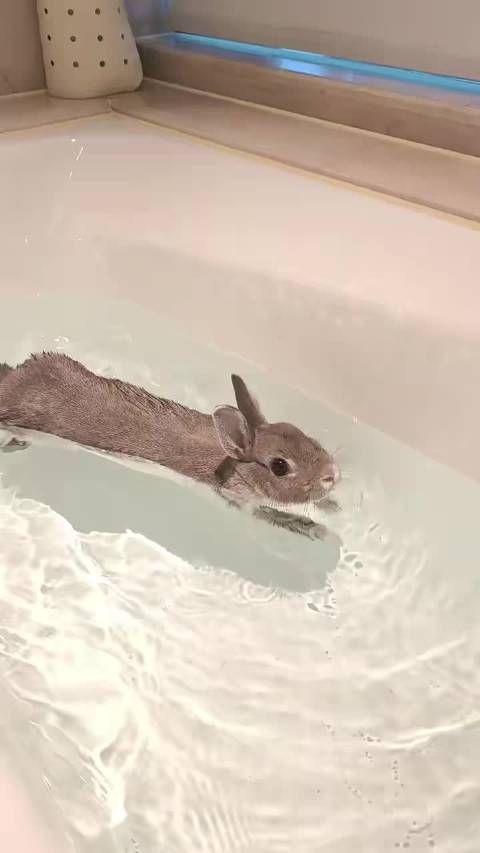 发个李沛恩洗澡视频，邀请首页共赏